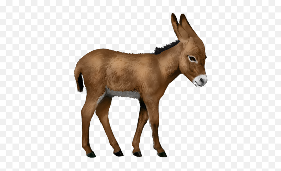Donkey From Shrek Png Images Transparent Background Png Play Emoji,Donkey Emoticons Free