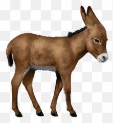 Donkey From Shrek Png Images Transparent Background Png Play Emoji,Donkey Emoticons Free