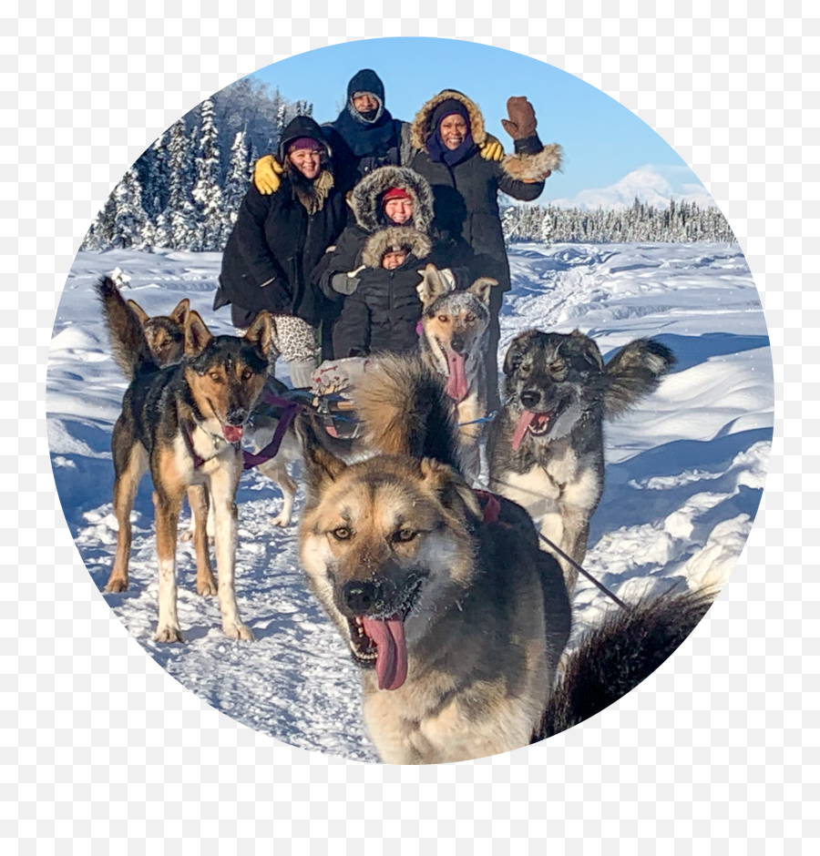 Dogsled Rides U2014 Alaskan Husky Adventures Emoji,Emotion Kkayak At Cabelas