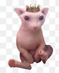 Libreddit Search Results - Flairnamebingus Emoji,Gm Discord Emoji