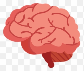 1000 Free Brains U0026 Psychology Illustrations Emoji,Stethoscope Emoji