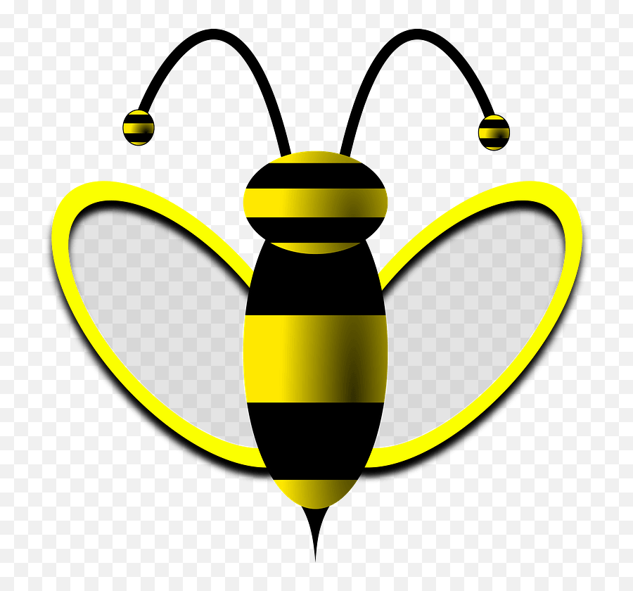 Honey Bee Drawing Clipart Free Download Transparent Png - Graphics Of Honey Bee Emoji,Bee Emoji Transparent