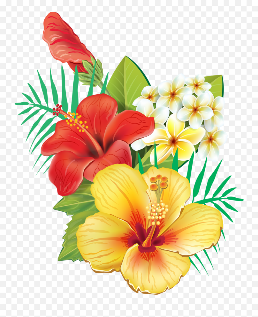 Tropical - Hawaii Flower Png Emoji,Tropical Flower Emoji