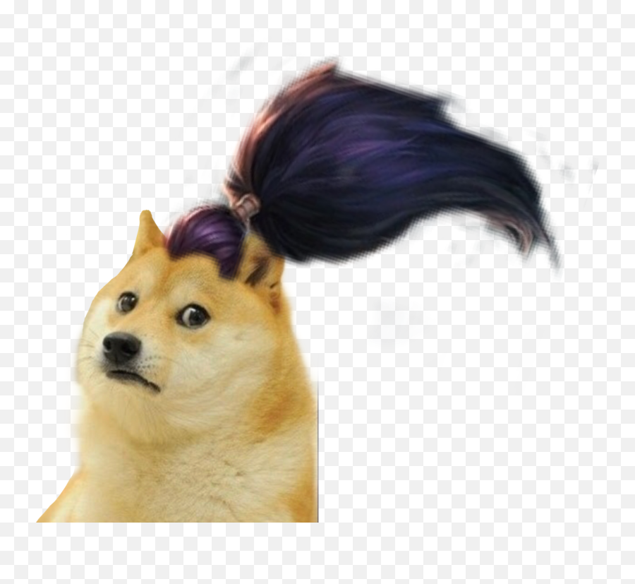 Doge Cheems Yasuo Sticker By Heosmile0209 - Northern Breed Group Emoji,Yasuo Emoji