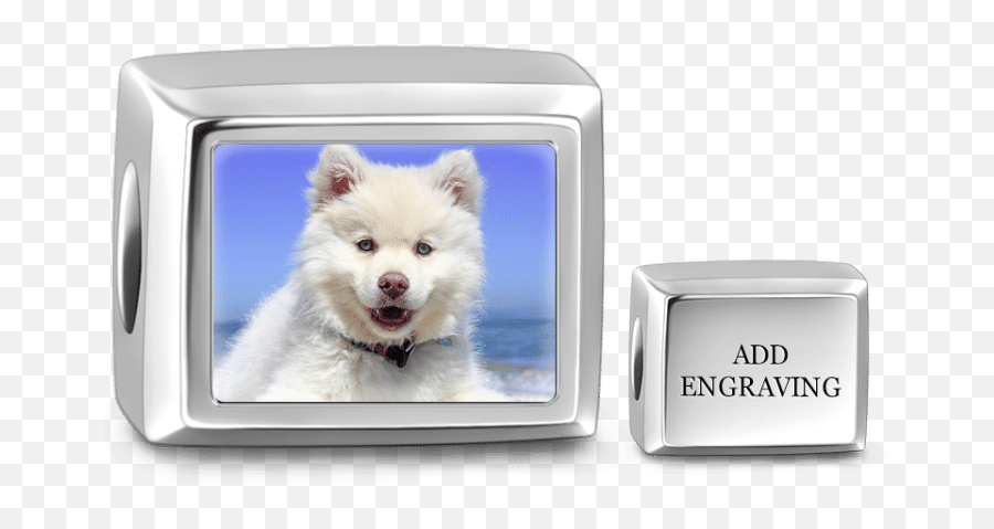 Cuboid Shaped Engraved Photo Charm Silver - Japanese Spitz Emoji,Right Pointing Finger Fronthand Emoji