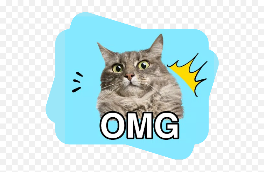 Meme Templates - Customize Most Popular U0026 Trending Memes Chat Europeen Angora Emoji,Cats Memes To Express Emotion