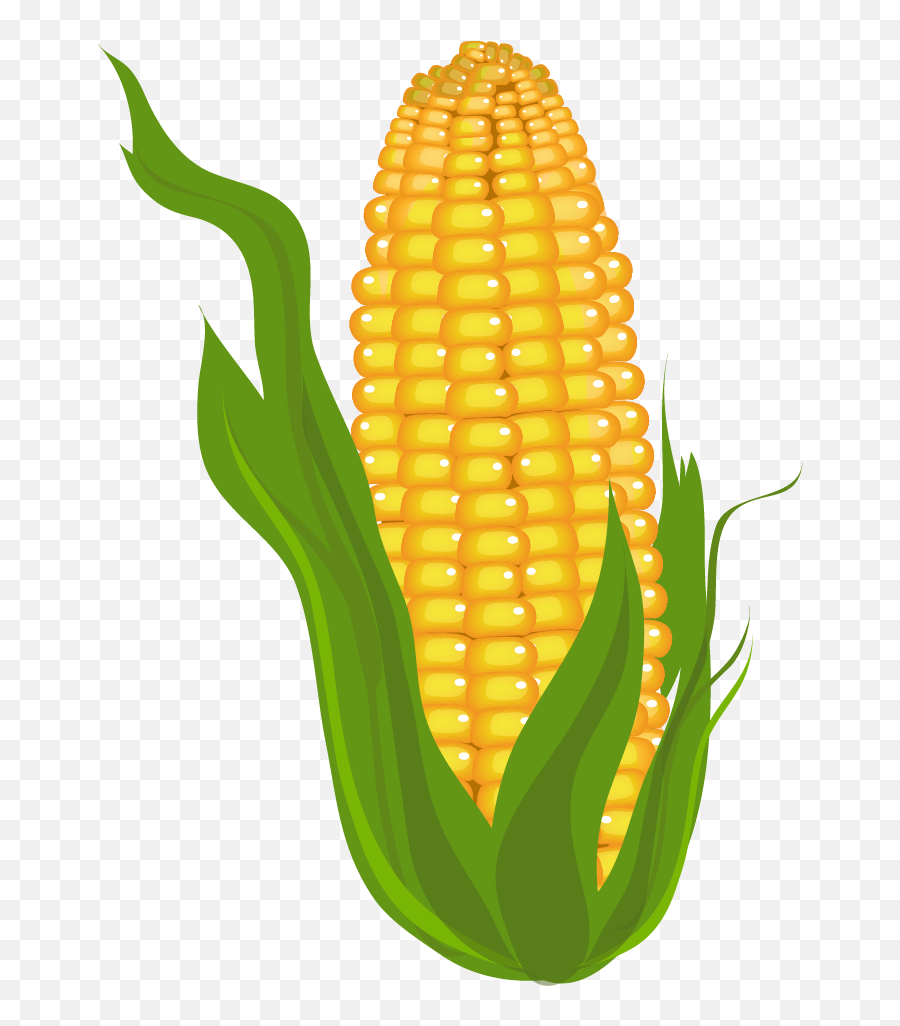 Corn Clip Art Free Free Clipart Images - Corn Cliparts Emoji,Corn Emoji