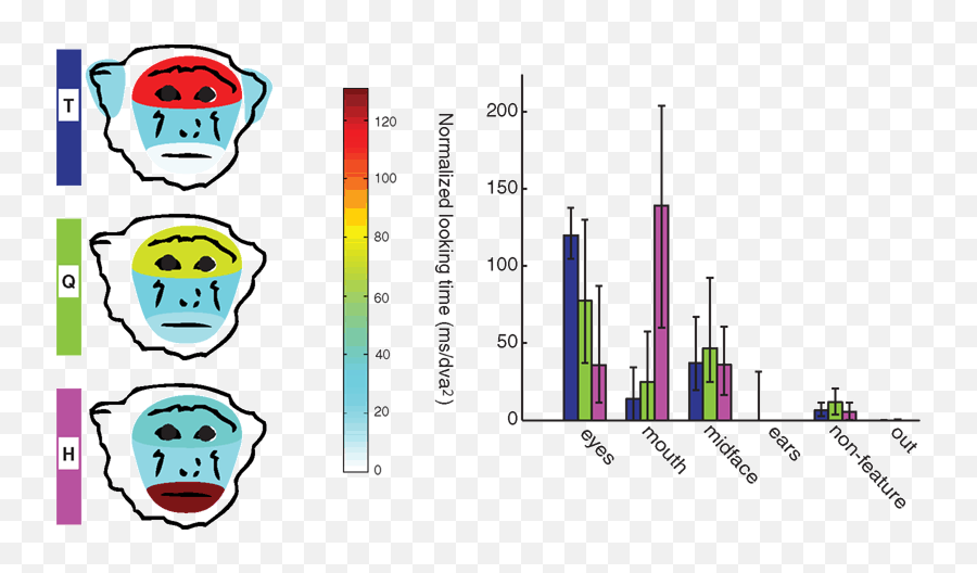 Behavioral Phenotype In Rhesus Monkeys - Plot Emoji,Monkeys Emotion