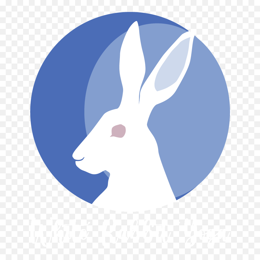 Yoga Nidra Training Weekend White Rabbit Yoga Emoji,Hare Emotion