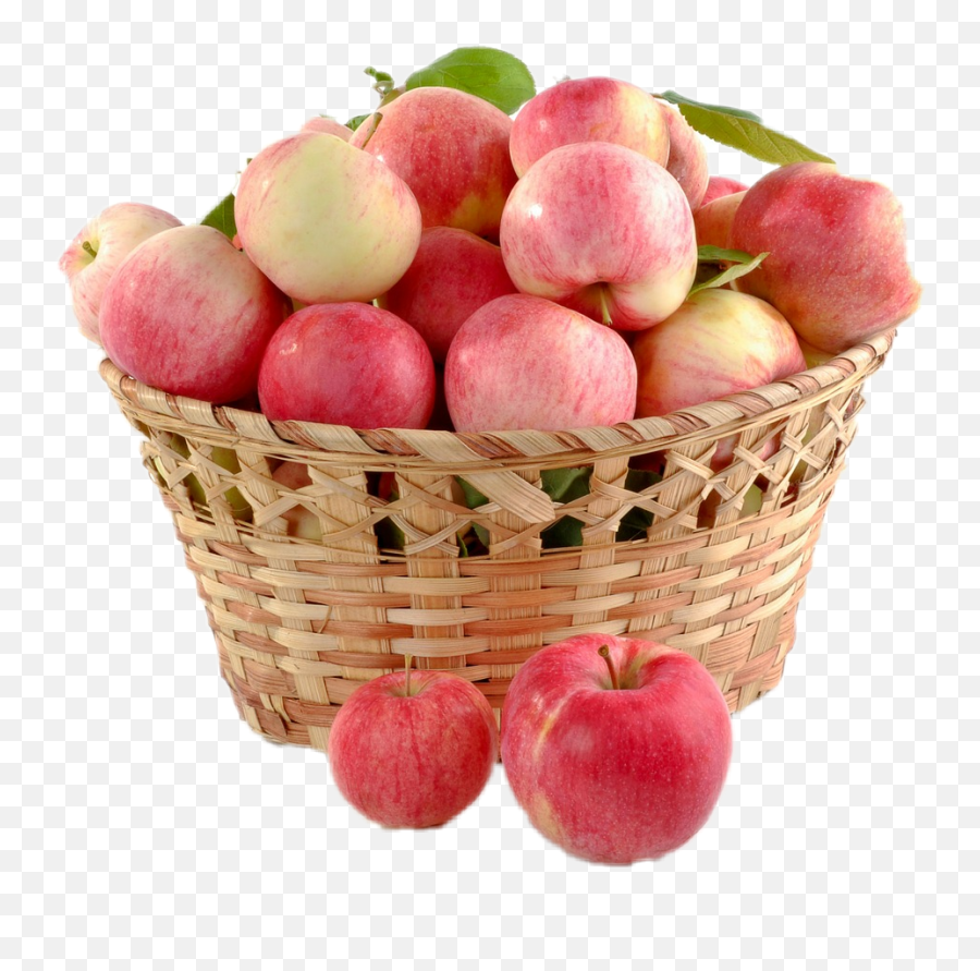 Apples Basket Fruit Juicy Sticker By Margarita - Abbas Apples Emoji,Find The Emoji Cheats Margarita