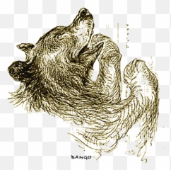 Zig - Zags At The Zoo Sketch Emoji,Emotion Stealth 10 Angler Review