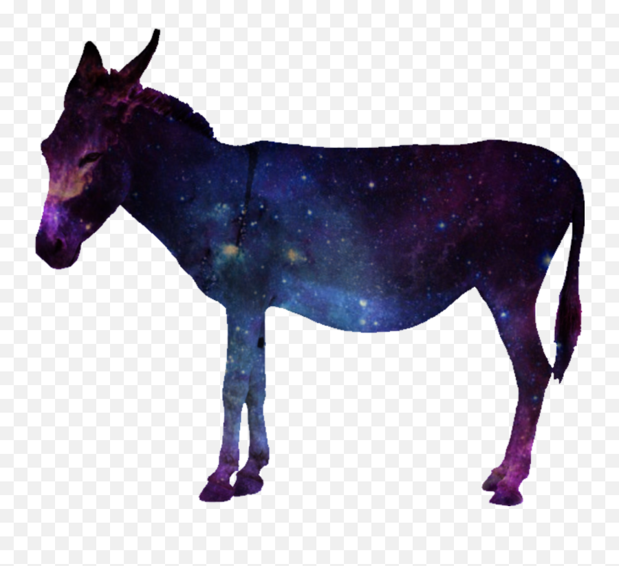 Galaxy Donkey Sticker By Mrworldwide - Animal Figure Emoji,Donkey Emoji Copy & Paste