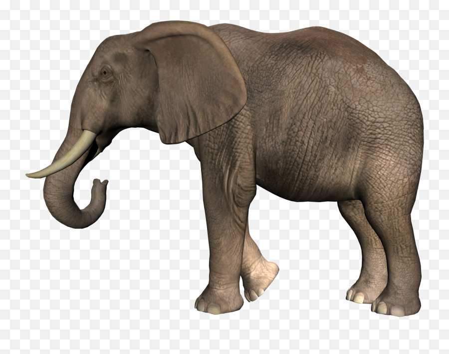 Elephant Png - Elephant Png Emoji,Elephant Touching Dead Elephant Emotion