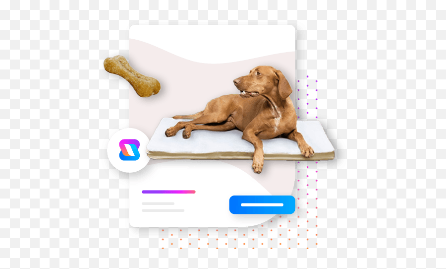 Dropship Pet Supplies Avasam - Dog Treat Emoji,Dog Emojis For Computer