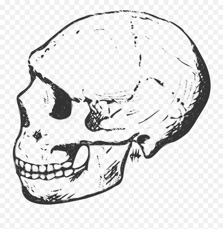 Side View Of Human Skull Llustration Free Image Download - Scary Emoji,Human Head Emotions