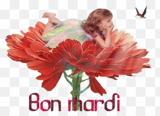 Meilleur Pour Gif Anime Image Bon Mardi - Abdofolio Bon Mardi Bon Dimarts Gif Emoji,Deus Vult Discord Custom Emojis