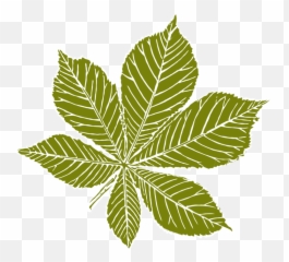Leaf Test - Language Emoji,Clip Art Positive Emotions