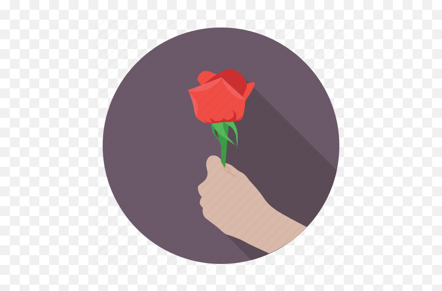 Giving Flower Giving Rose In Love - Garden Roses Emoji,Valentine Flowers Emotion Icon