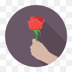 Giving Flower Giving Rose In Love - Garden Roses Emoji,Valentine Flowers Emotion Icon