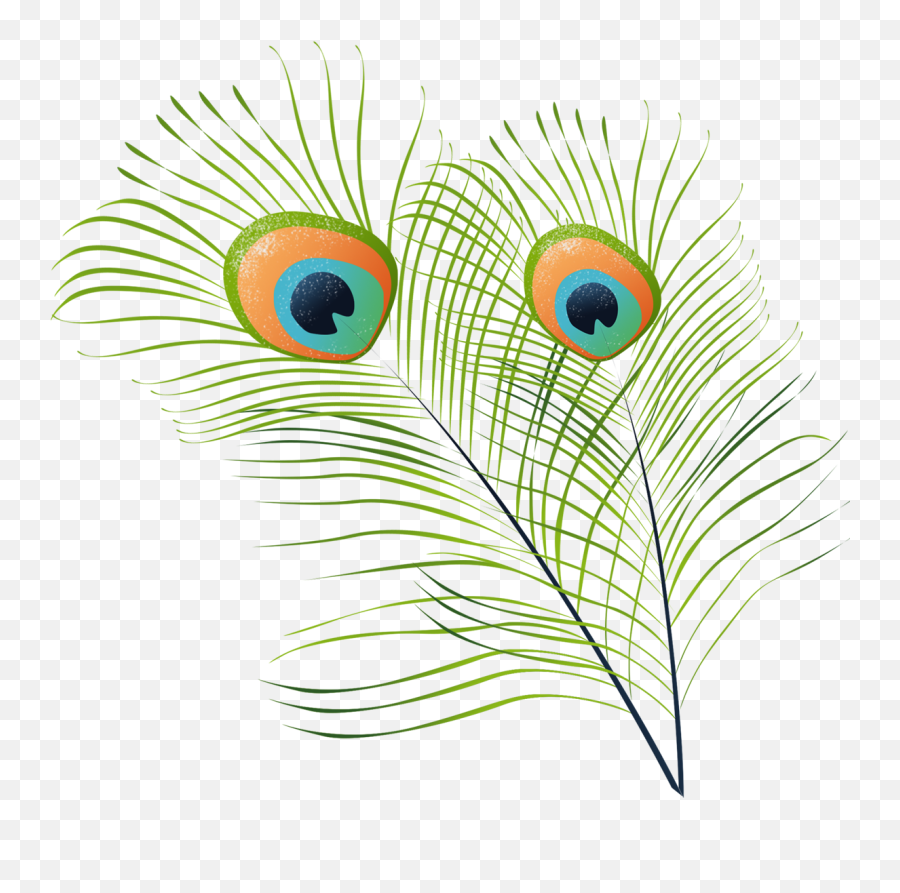 Peacock Feather Vector Png Peacock Feather Clipart - Morpankh Hd Image Png Emoji,Peacock Feather Ascii Emoticon