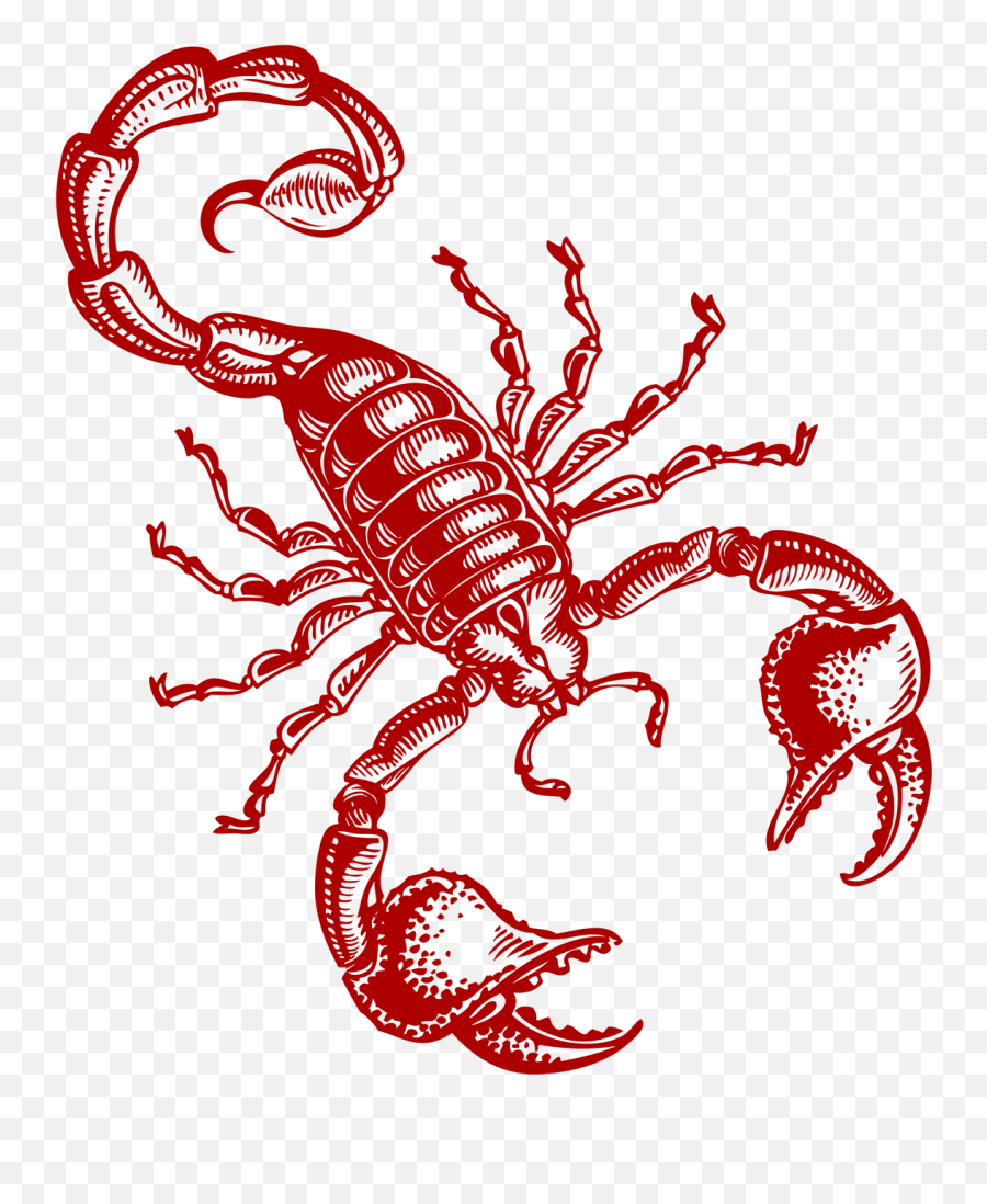 Thought Of The Week The Power Of The Mind Blogs - Emperor Scorpion Emoji,Playing With Emotions Quotes