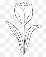 Tulip Clipart Black And White Free Images 2 - Clipartix Emoji,Tulip Emoji