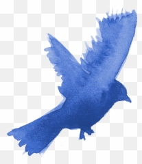 13 Watercolor Bird Silhouette Png Transparent Onlygfxcom Emoji,Ble Bird Emoji