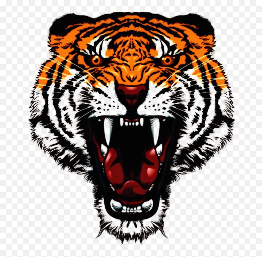 Download Tattoo Tiger Angry Orange Open - Angry Tiger Face Png Emoji,Tiger Face Emoji