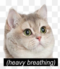 Download Heavy Breathing Memes Discord Emoji Slack Emoji - Cat Meme Heavy Breathing,Slack Emoji