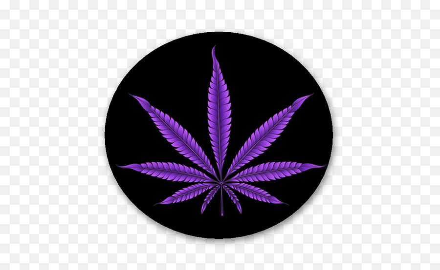 Gateway Drug Myth Ronnieu0027s Blog - Castel Del Monte Emoji,Cannabis Leaf Emoticons
