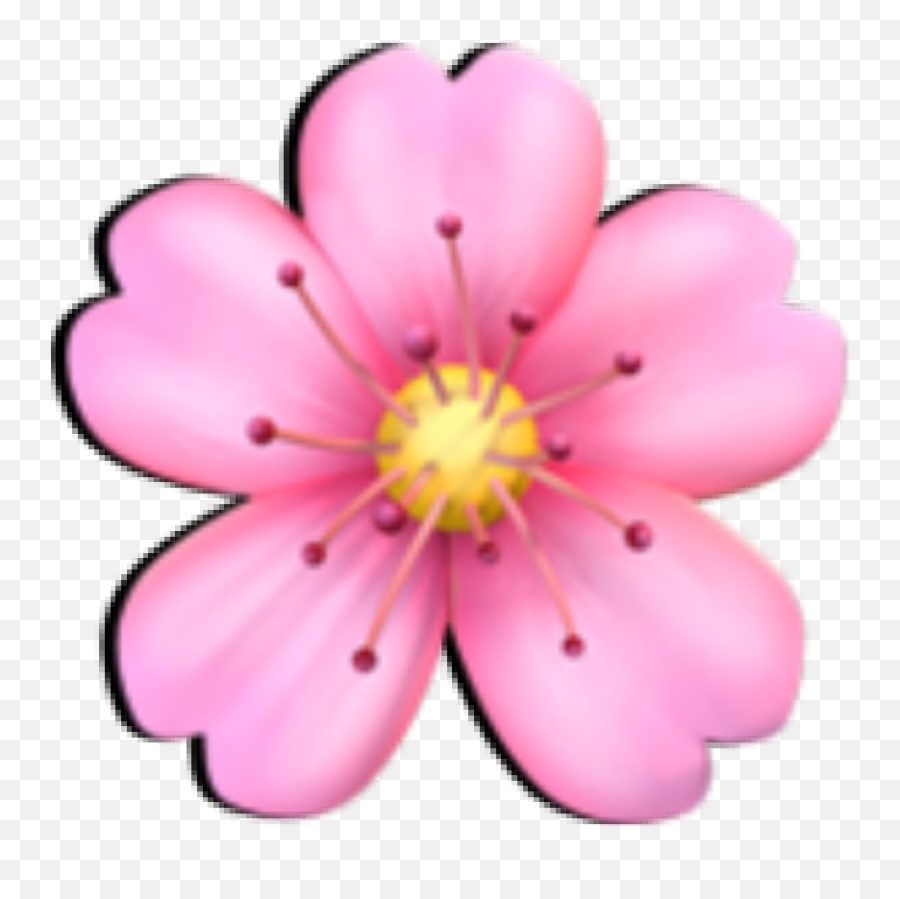 Flor Emojis - Cherry Blossom Emoji,Emoticon With Flowers