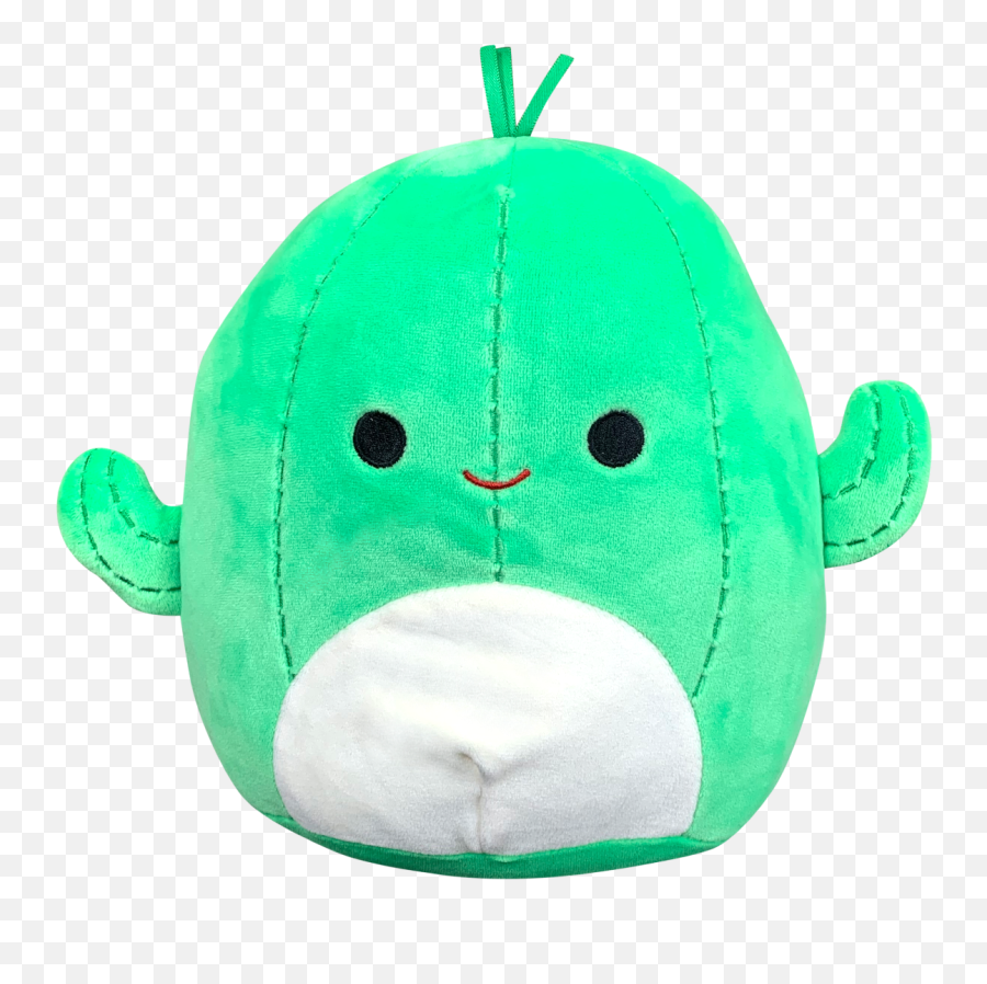 Squishmallows U2014 Learning Express Gifts - Boy Cactus Squishmallow ...