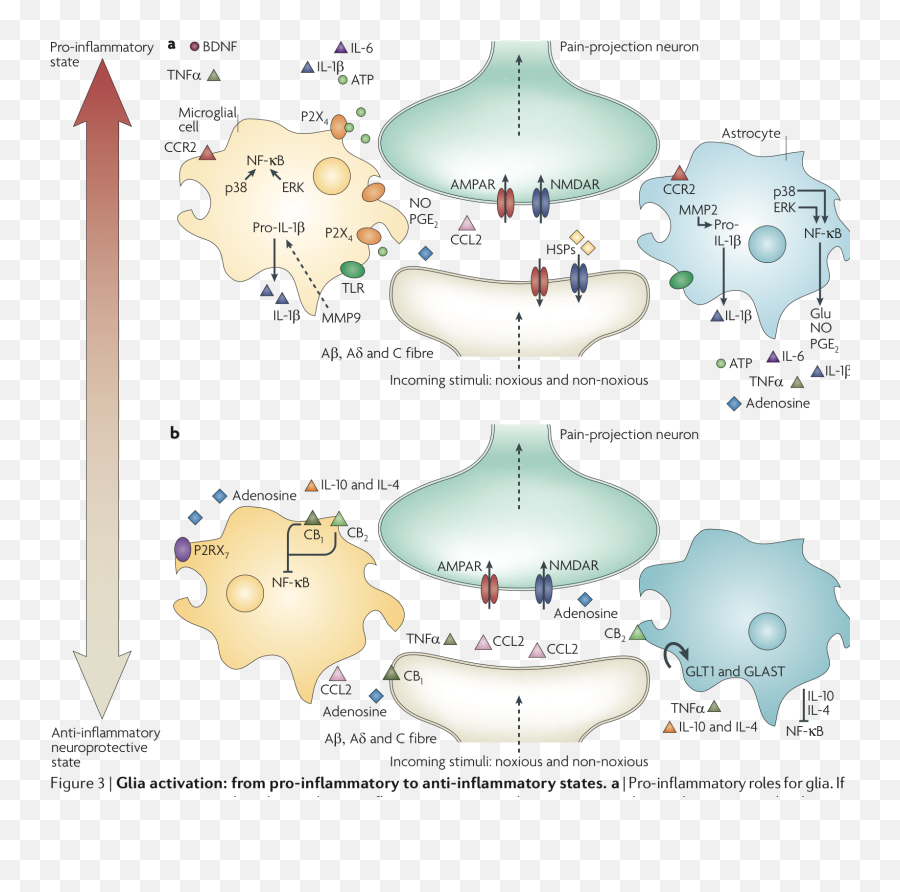 Complex Regional Pain Syndrome U2013 Rsd Pain Management - Vertical Emoji,Skype Smoking Emoji