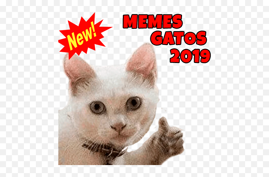 Memes De Gatos 2020 - Photo Caption Emoji,Meme Emoticons Para Facebook Actualizado