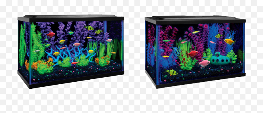 Tetra Fish Tank Ideas Png Image With No - Glow Fish Aquarium Emoji,Emoji Tetra