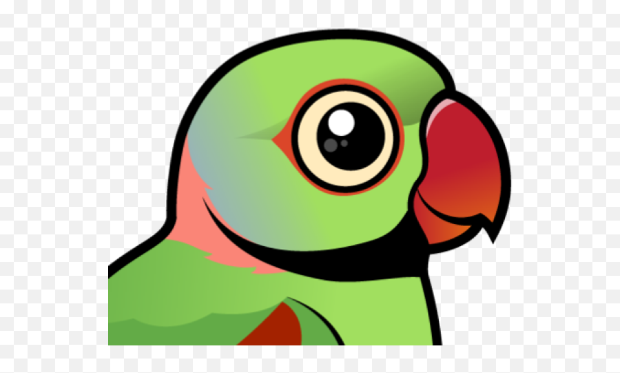 Parakeet Clipart Pink Parrot - Cartoon Png Download Full Cute Cartoon Green Parrot Clipart Emoji,Bird Jay Emoticon