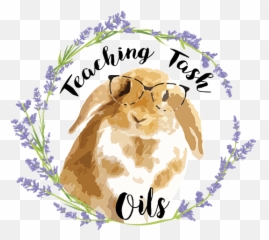 Tips To Rank Advance U2013 Teachingtashoils - Bovidae Emoji,Teaching The Emotions Class Doterra