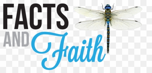 John Macarthurs Strange Fire - Faith Word Emoji,John Macarthur Emotions