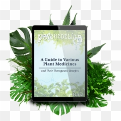 Are There Depictions Of Psychedelic Use - Ion Gut Health Emoji,Wave Emoticon Gaia