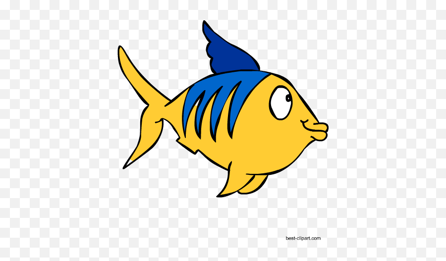 Free Marine Animals Ocean Animals Or Under Water Animals - Fish Emoji,Fish And Horse Emoji