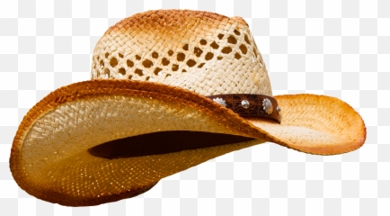 12 Hat Dream Interpretation - Cowboy Hat Emoji,Inside Out Emotions Hat