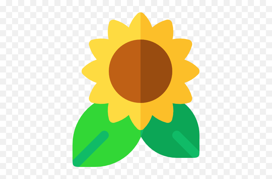 Vegetable Oils - Part Of A Complete Meal Queal Sunflower Icon Png Free Emoji,Unhealthy Pictures Emojis