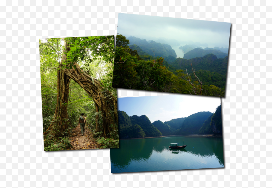 See Halong Bay Differently Visit Lan Ha Bay From Cat Ba Island Emoji,Banh Tet Emoji