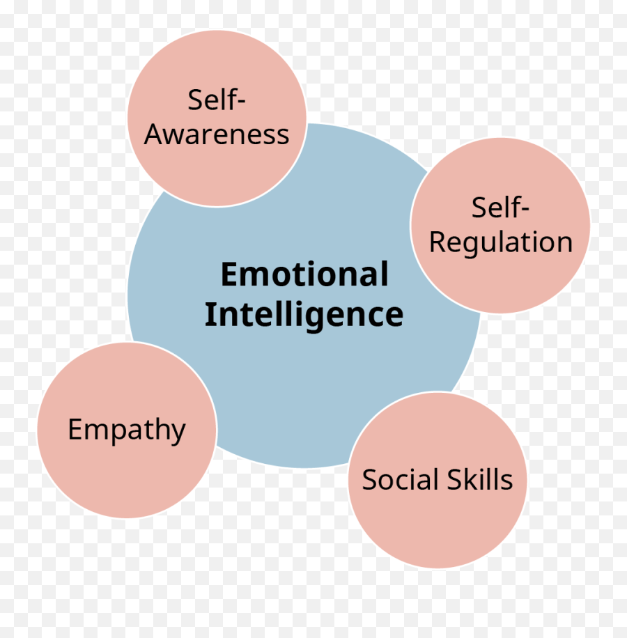 22 How The Brain Processes Information To Make Decisions Emoji,What Are Emotion Regulations Skills