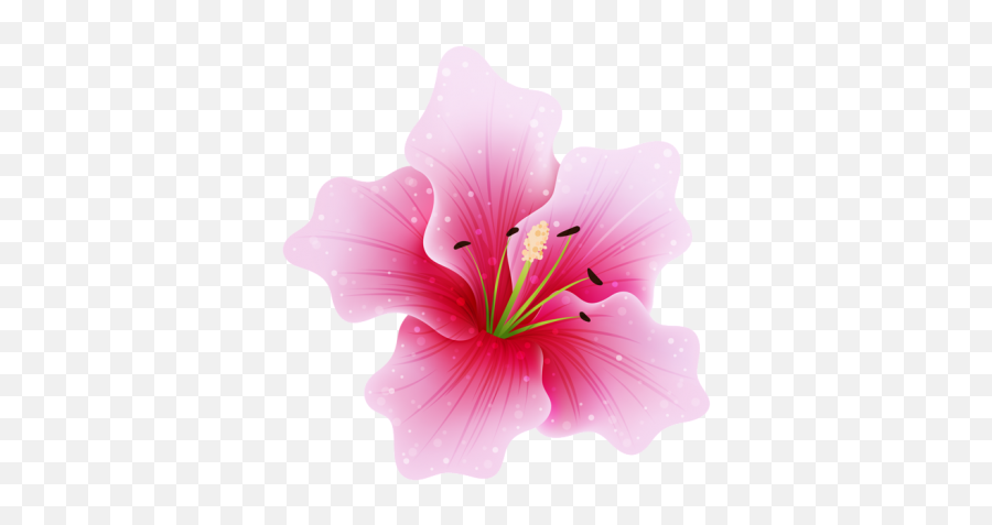 Heart Pink Flower Holidays Image - 5580 Transparentpng Pink Beautiful Flower Png Emoji,Cute Flower Emoji
