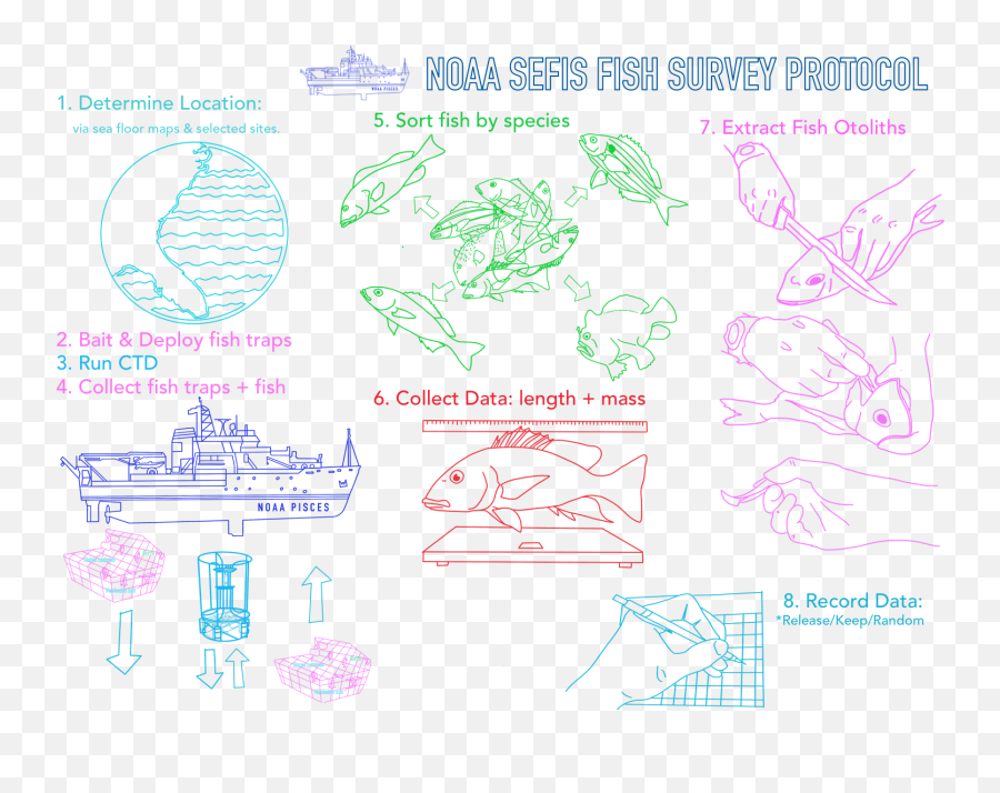 July 2019 U2013 Noaa Teacher At Sea Blog - Drawing Emoji,Emotion 14 Ft Fishing Kayak