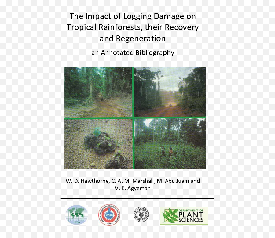 Pdf The Impact Of Logging Damage On Tropical Rainforests - Plant Science Emoji,Sims 4 Jungle Tree Of Emotions Not Working