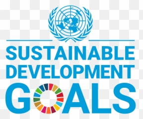 Belinda Reyers - United Nations Logo Sustainable Development Goals Emoji,10 Trending Emotions On Twitter Regarding Automobile Industry