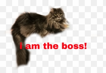 Django Sticker - Guru Emoji,Coon Emoji