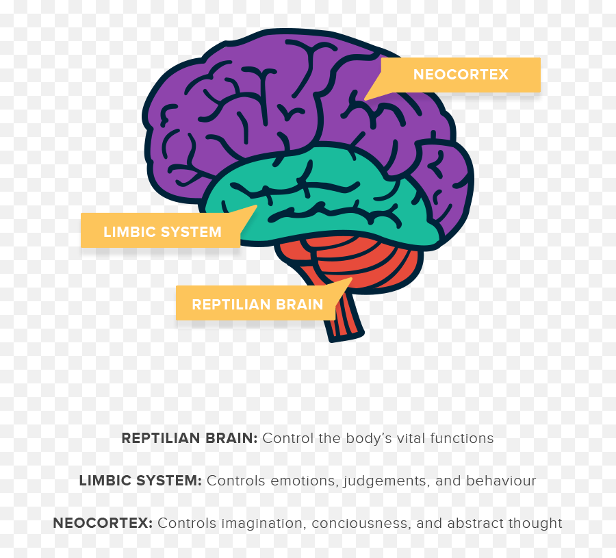 Copywriting Between Wants And Needs - Primitive Brain Emoji,Emotions And The Brain